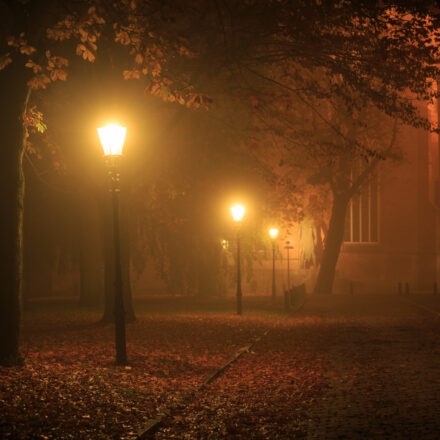 Streetlights in a park on a foggy night in autumn. Shallow D.O.F., long exposure.